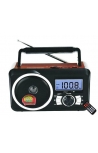 Fepe FP-910RC