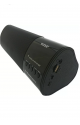 WSTER WS-2519BT