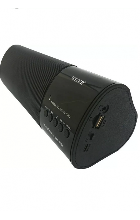 WSTER WS-2519BT