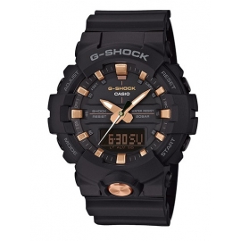GA-810B-1A4ER