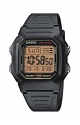 W-800HG-1AVES