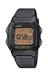 W-800HG-1AVES
