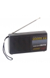 GOLD JR-9068