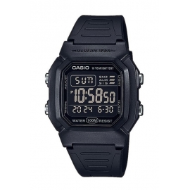 W-800H-1BVES