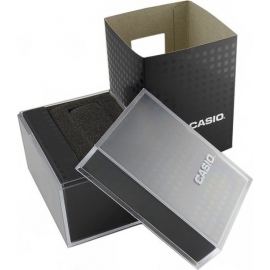 CASIO BOX