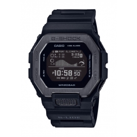 GBX-100NS-1ER