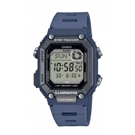 WS-B1000-2AVEF
