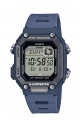 WS-B1000-2AVEF