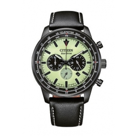 CA4505-21X