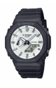 GA-2100WD-1AER