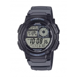 AE-1000W-8AVEF