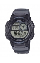 AE-1000W-8AVEF